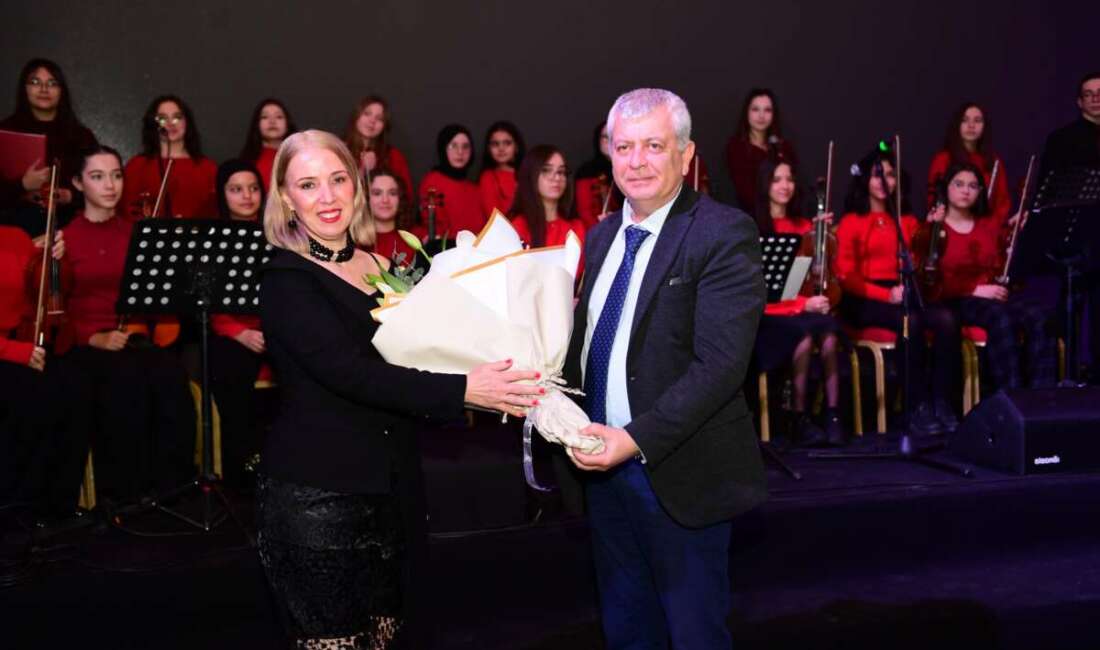 Kültür ve sanat faaliyetlerine