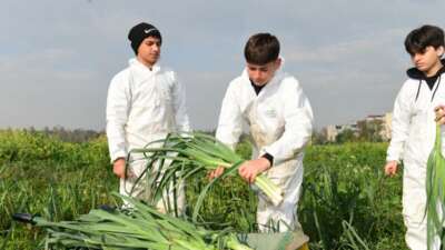 Osmangazi Belediyesi, toprağa emekle dokunarak