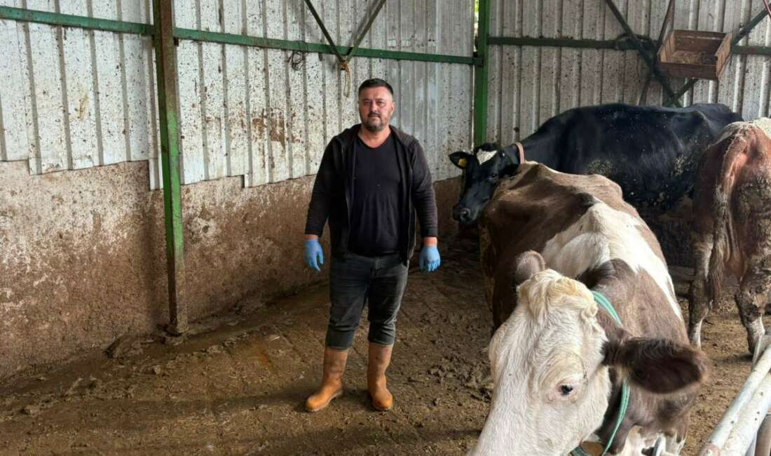 Bursa'nın Yenişehir ilçesinde hayvancılıkla uğraşan ve