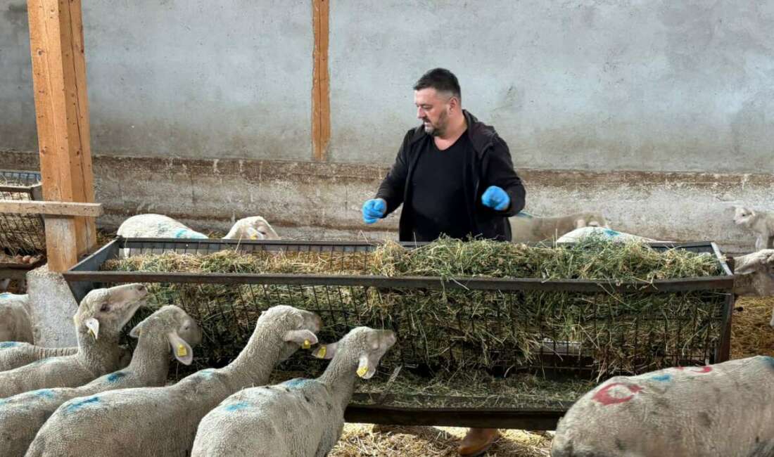 Şap mağduru üreticiler destek bekliyor