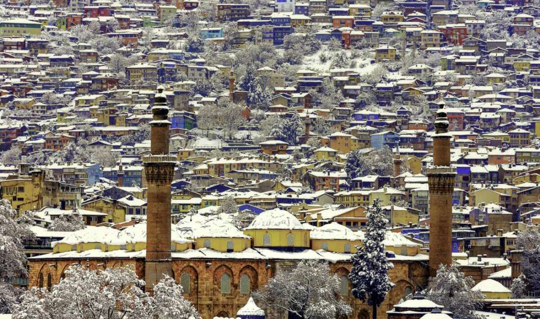 Vikipedi’nin uluslararası fotoğraf yarışması