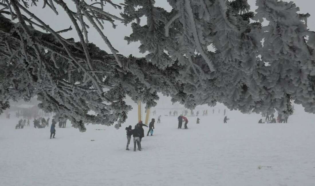 Kış turizminin önemli merkezlerinden