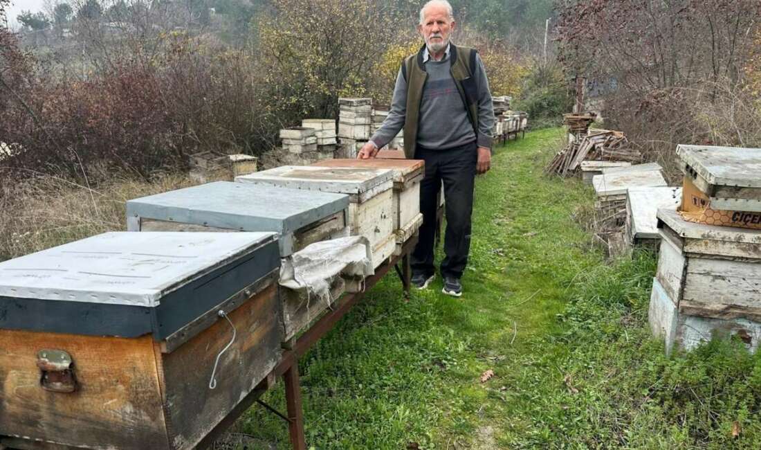 Bursa'da profesyonel olarak arıcılık