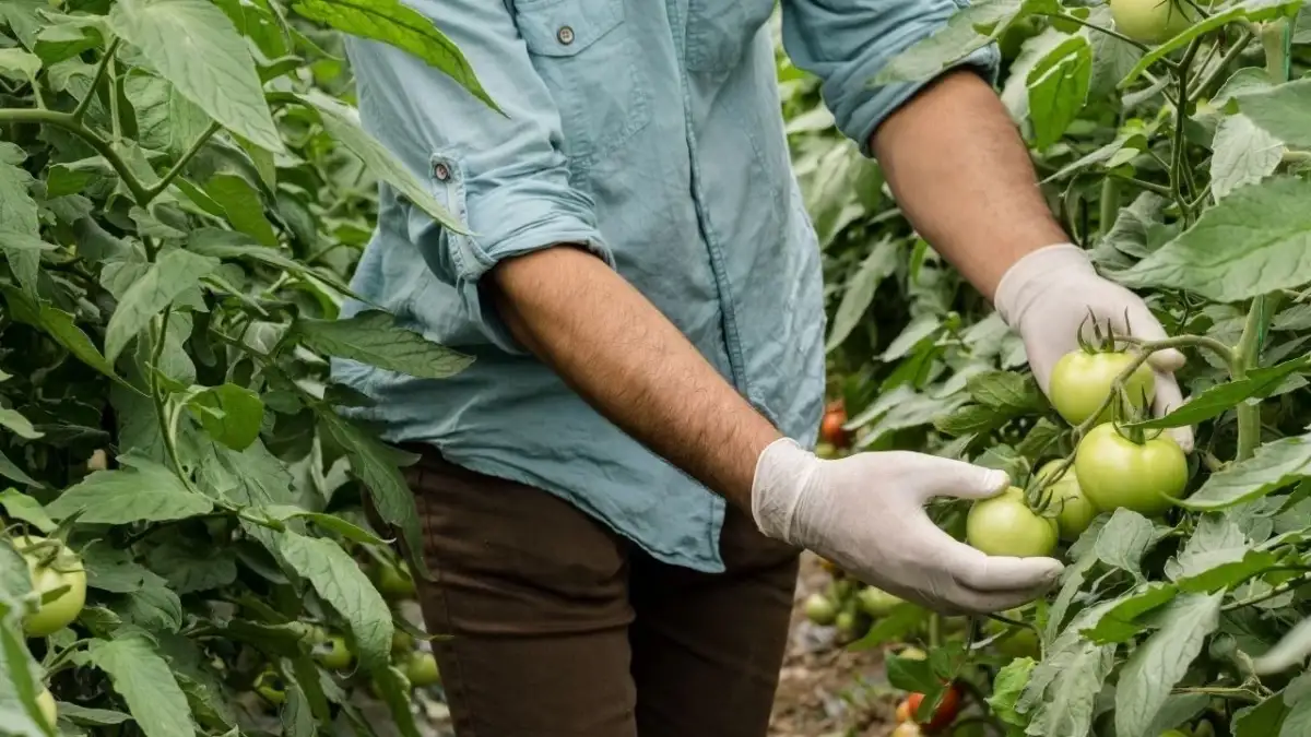 Toprağın Mühendisleri Bursa’dan değişim mesajı verdi