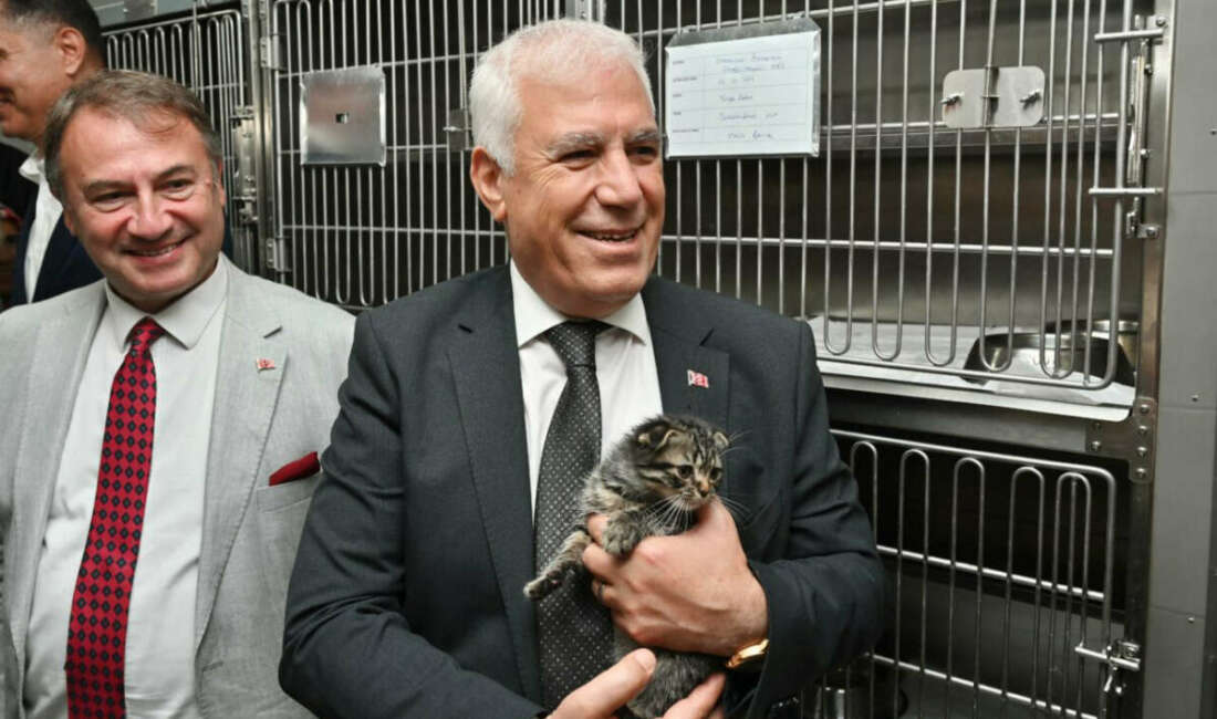 Bursa Büyükşehir patili dostların yanında Bursa’da sahipsiz hayvanların daha