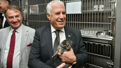 Bursa’da sahipsiz hayvanların daha iyi