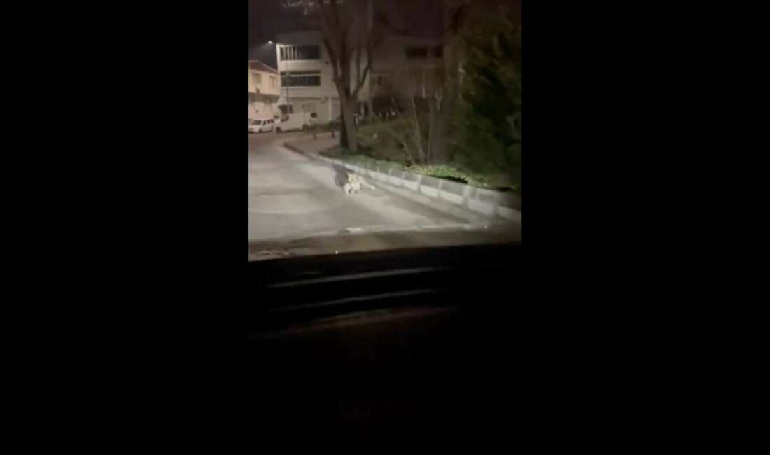 Bursa’nın Nilüfer ilçesi Üçevler