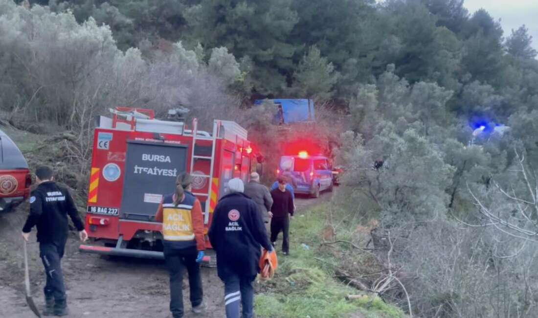 Bursa’nın Mudanya ilçesinde bağ