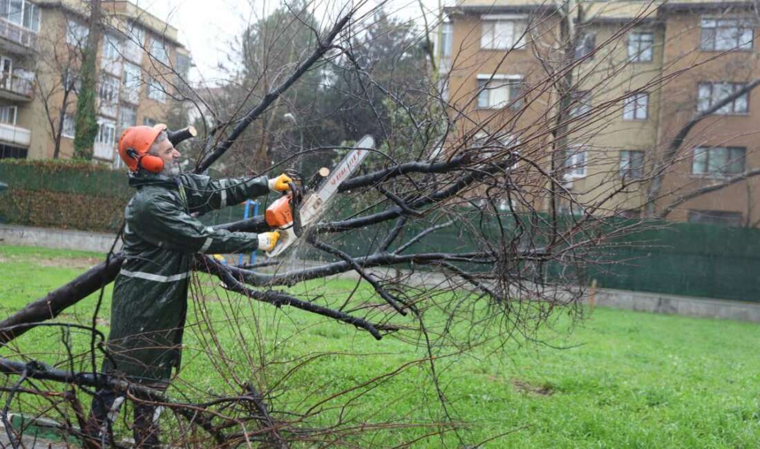 Bursa Büyükşehir Belediyesi, kent
