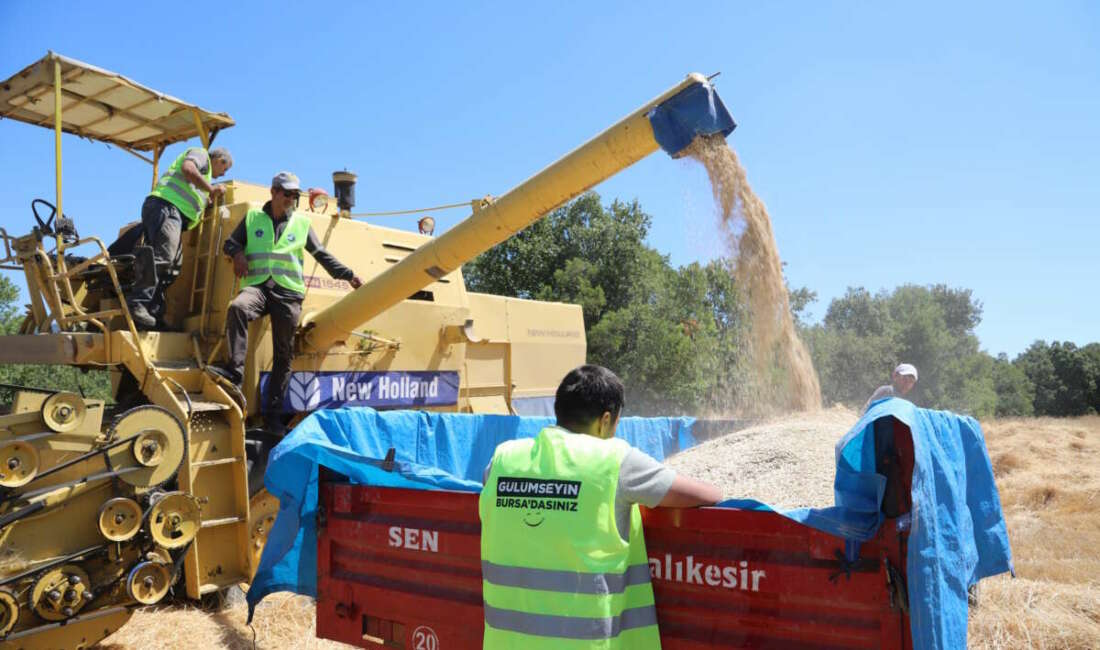 Bursa Büyükşehir Belediyesi, damla