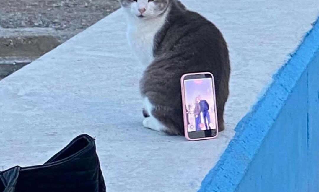 Bursa'nın Mudanya ilçesinde sahilde