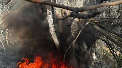 Bursa'nın Mudanya ilçesine bağlı Aydınpınar