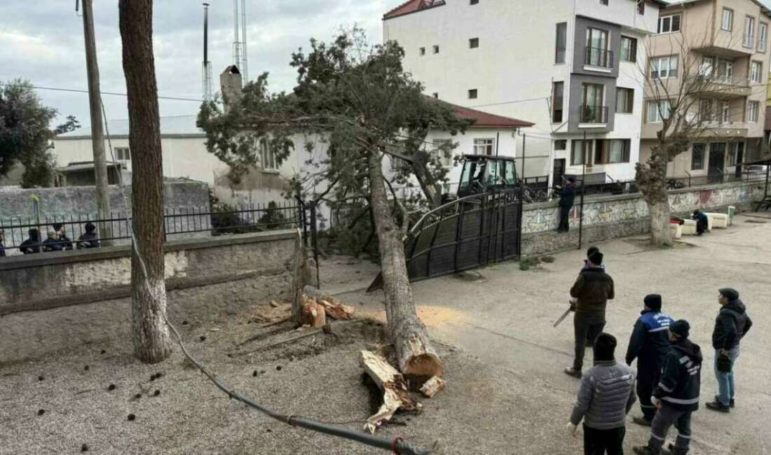 Bursa’da facia ucuz atlatıldı Bursa’nın İznik ilçesi Mustafakemalpaşa