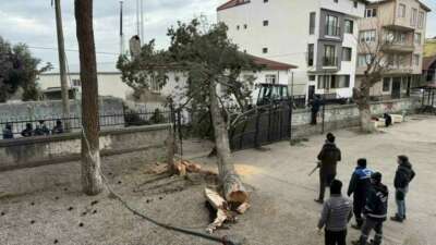 Bursa’nın İznik ilçesi Mustafakemalpaşa Mahallesi’nde