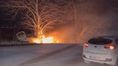 Bursa'da kontrolden çıkan otomobil ağaca