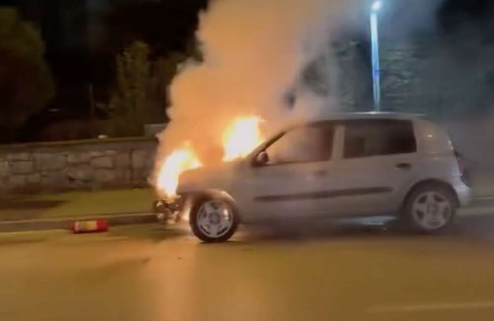 Bursa'nın Osmangazi ilçesinde Merinos