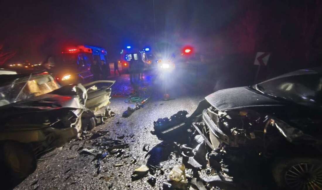 Bursa'nın İnegöl ilçesinde iki