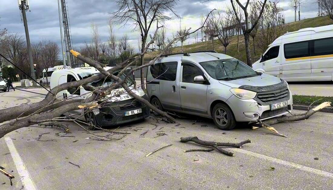 Bursa'da etkili lodos, refüjdeki