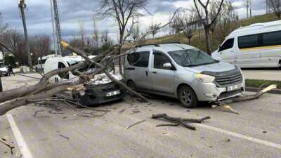 Bursa'da etkili lodos, refüjdeki ağaçları