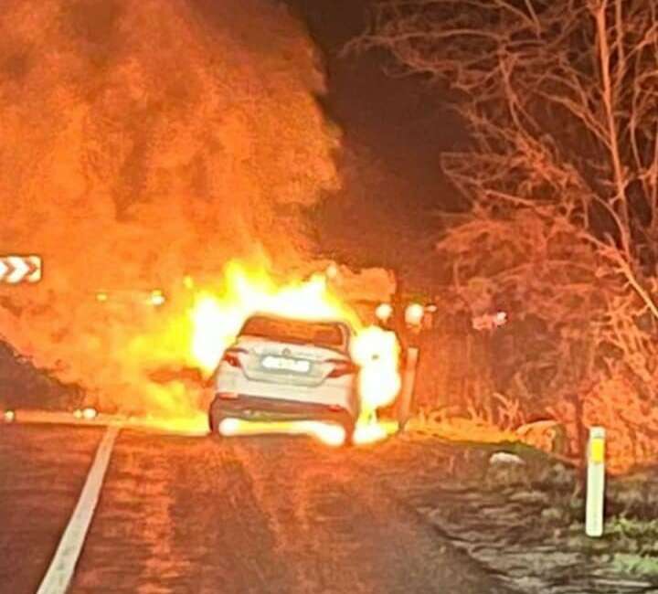 Bursa'nın Kestel ilçesinde seyir