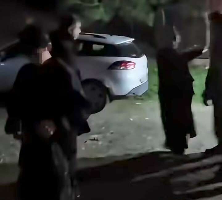 Bursa'da yürüyüşe çıkan iki