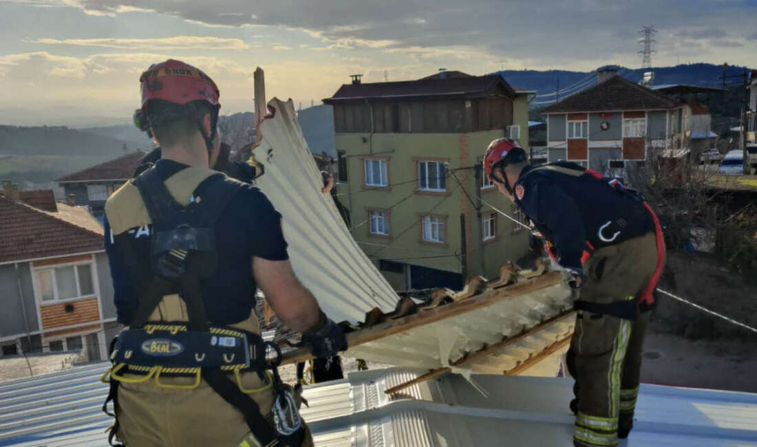 Bursa Büyükşehir Belediyesi, kent