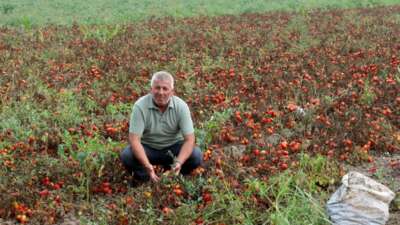 Karacabey Ziraat Odası İkinci Başkanı
