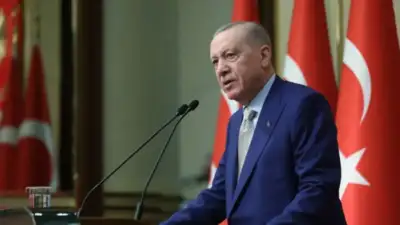 Cumhurbaşkanı Recep Tayyip Erdoğan, Bloomberg’e