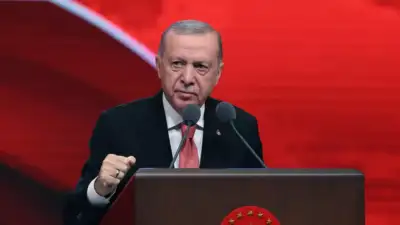 Cumhurbaşkanı Recep Tayyip Erdoğan, Türkiye