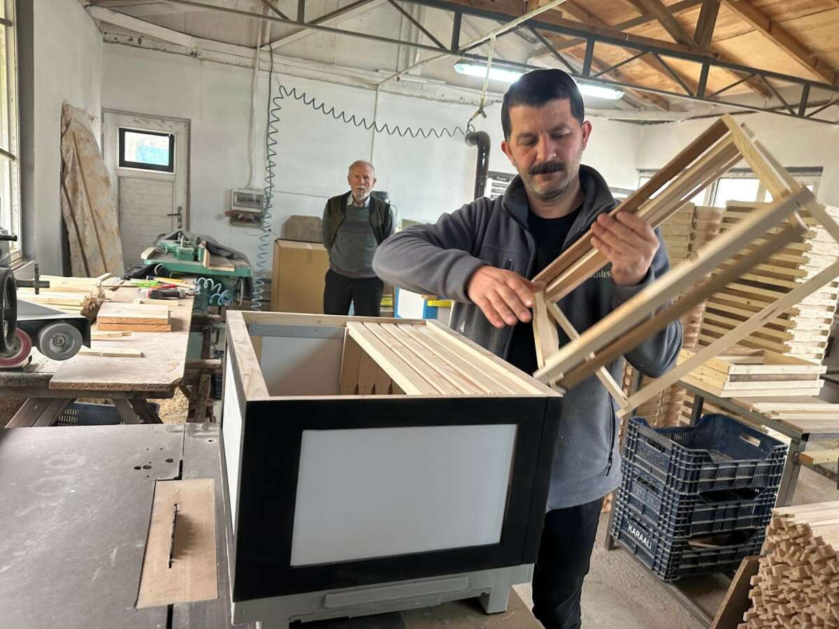 Futbolda rekabet arıcılara yansıdı; renkli kovanlar revaçta