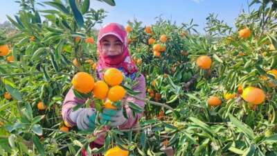 Havaların soğumasıyla grip vakalarında artış