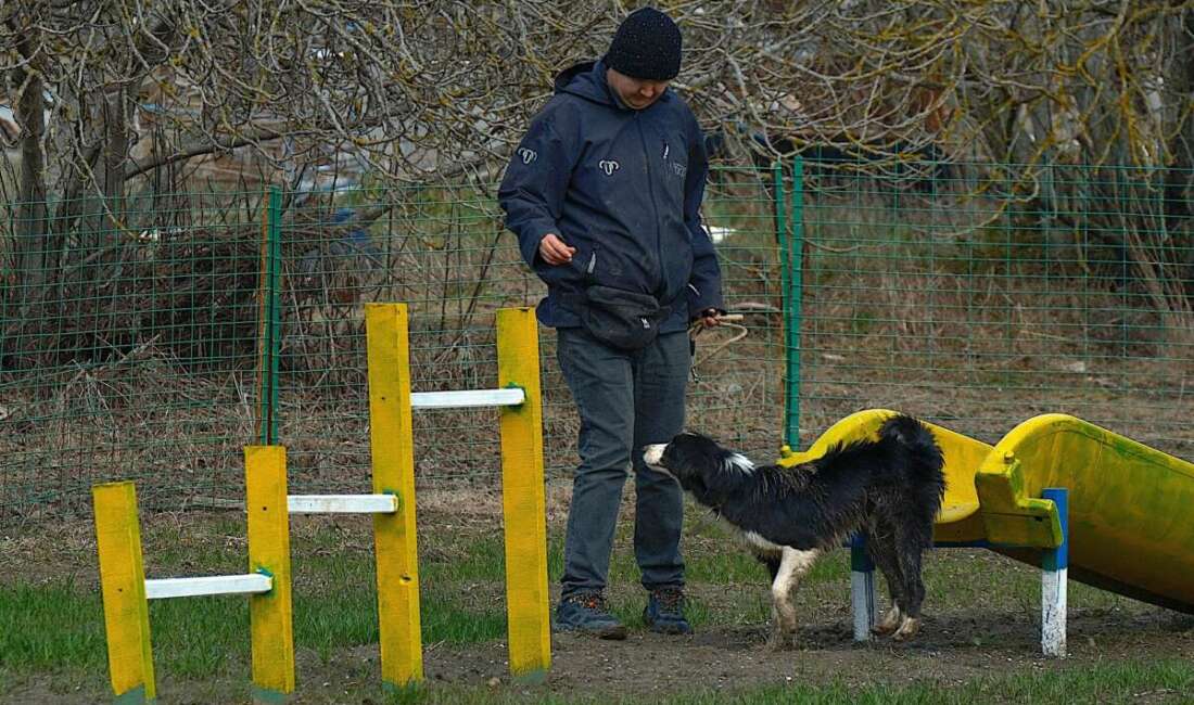 Küçükbaş hayvancılık sektöründe koruma