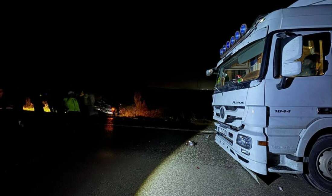 Köpekler nedeniyle otoyolda can pazarı Bursa'nın Mustafakemalpaşa ilçesinde otoyolda