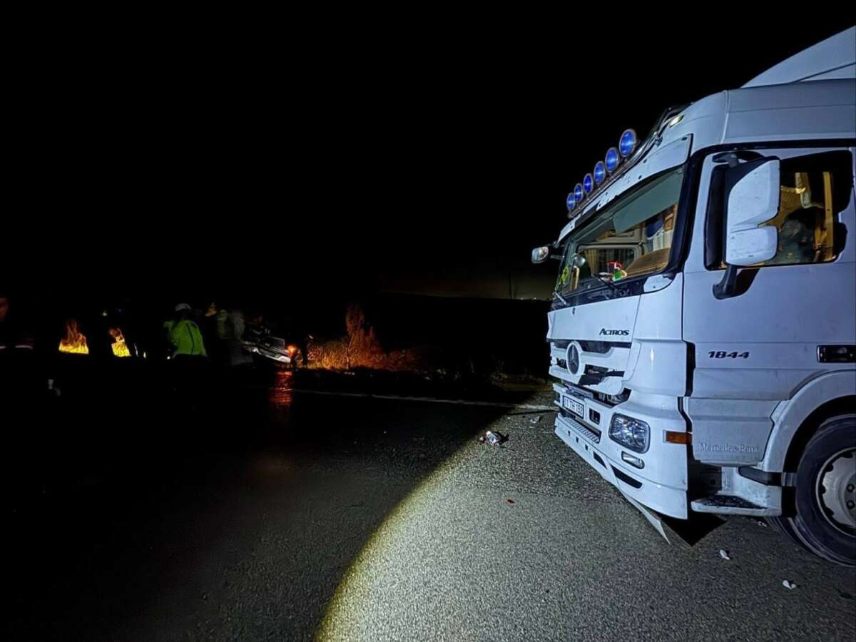 Köpekler nedeniyle otoyolda can pazarı