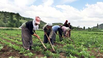 Türkiye’de tarımın yıllardır çözülemeyen sorunlarını