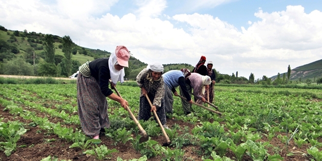 Köylüyü yaşatmak, çiftçiyi güçlendirmek
