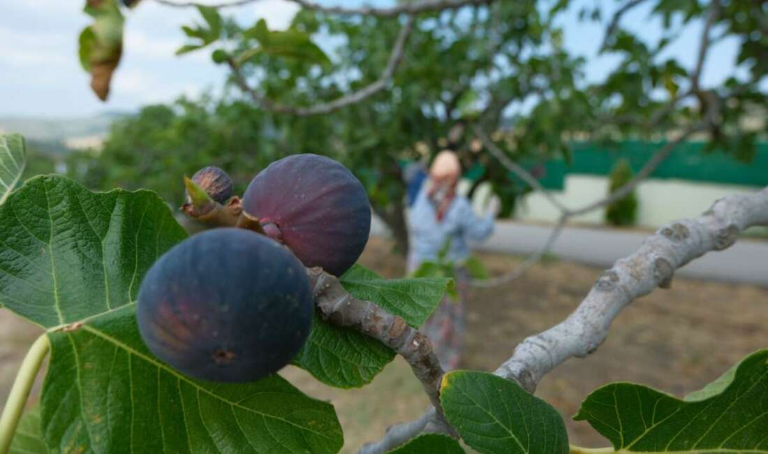  Bursa'da geçen yıl yaşanan