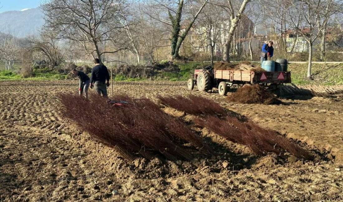  Bursa'nın İnegöl ilçesine bağlı