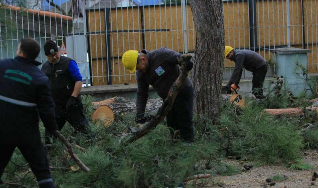 Osmangazi Belediyesi’nden Lodosa karşı etkin müdahale Osmangazi Belediyesi, Bursa’da sabah