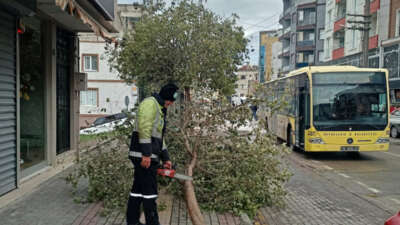 Bursa Büyükşehir Belediyesi’ne bağlı ekipler