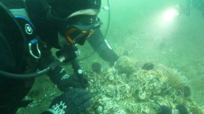 Onyedi Eylül Üniversitesi Denizcilik Fakültesi