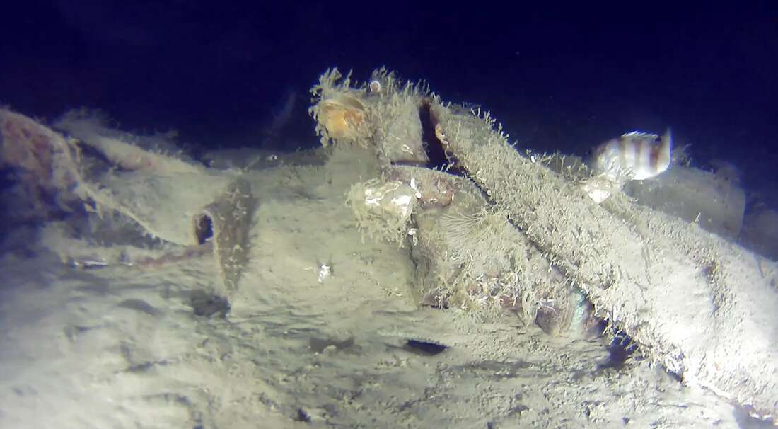 Marmara Denizi'ne 50 yıl