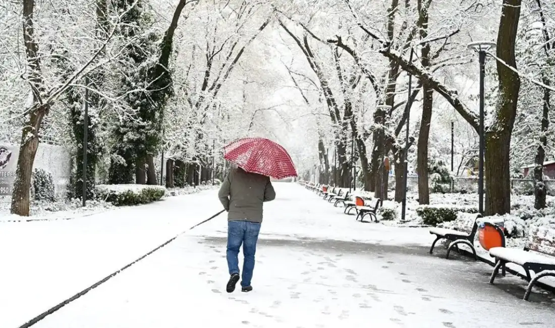 Meteoroloji Genel Müdürlüğü, Doğu