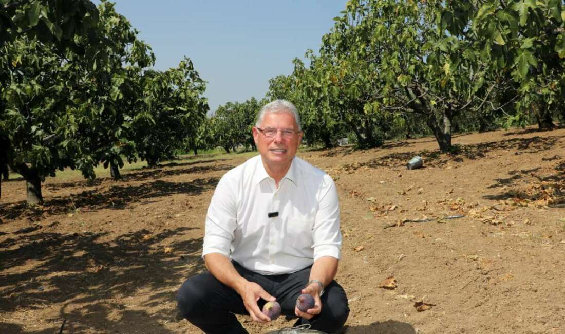 Mudanya Belediyesi’nden tartışmalı arazilerle ilgili açıklama Mudanya Belediyesi, satışa çıkarıldığı