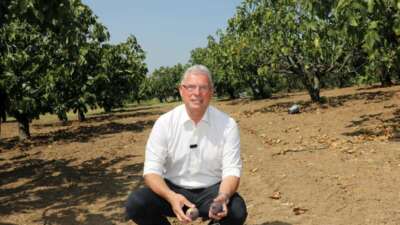 Mudanya Belediyesi, satışa çıkarıldığı için