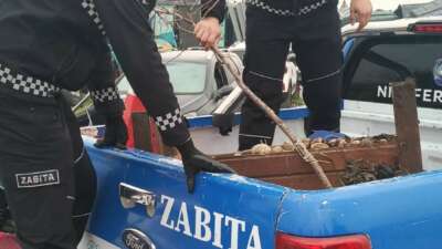 Nilüfer Belediyesi ekipleri; Esentepe ve