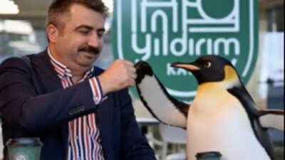 Yaklaşık 19 yıl önce bir