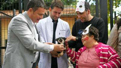 Sahipsiz sokak hayvanlarının yaşam koşullarını