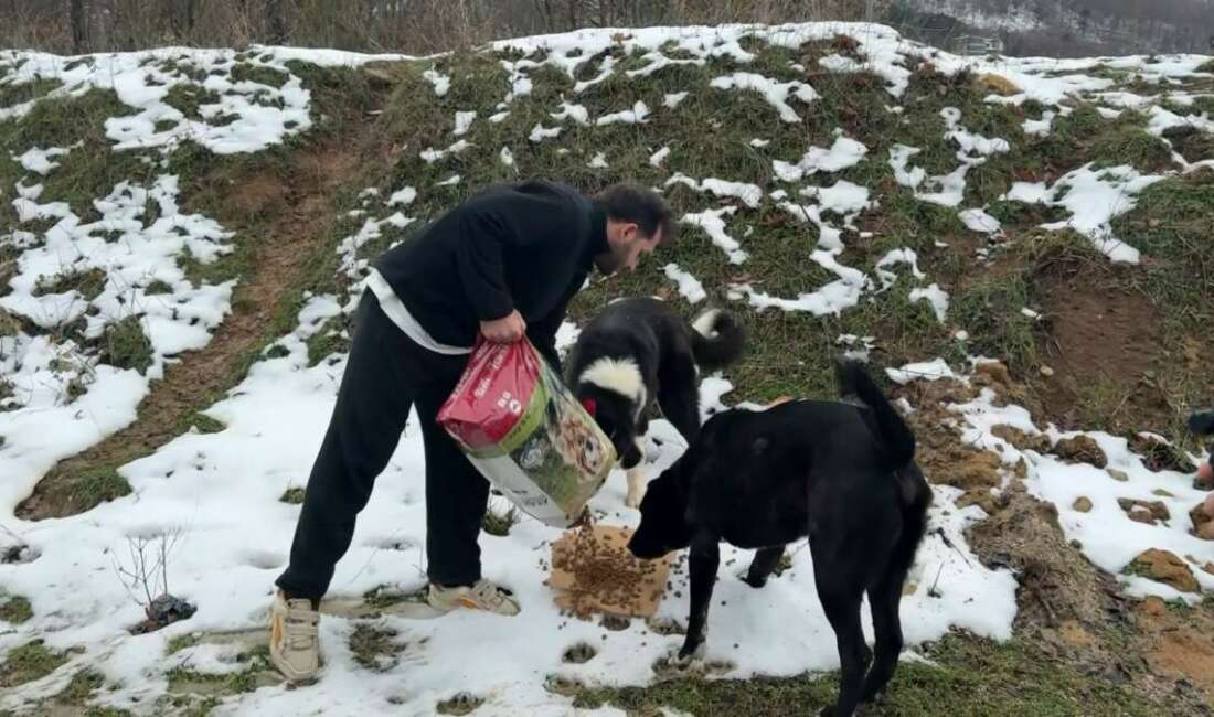 Uludağ'da etkili olan yoğun