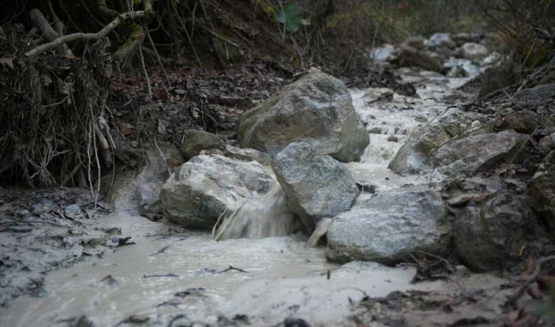 Yenişehir Belediye Başkanı Ercan